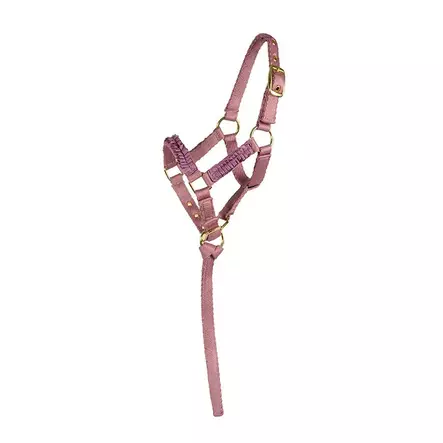 Varsariimu frilla roosa Hansbo Sport - Hevosen riimut, kaulapannat ja narut - 7320276034220 - 1