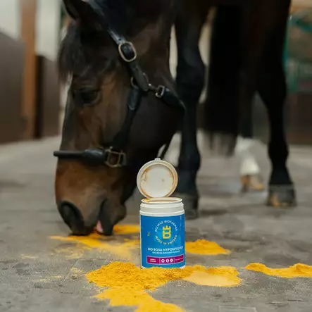 Bio Rosa Ruusunmarjajauhe 100% Nypon Pulver Eclipse Biofarmab - Luontaistuotteet ja heppanamit - 7330824008870 - 2