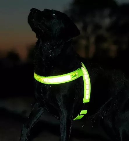 Heijastinvaljaat 1-4, pienet koot, 3cm leveällä nauhalla Boett Ab - Boett heijastinvaljaat - 214111111-1 - 1