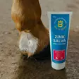 Sinkkisalva - Zinksalva Eclipse Biofarmab - Hevosen ensiapu ja ihonhoito - 7330824005701 - 2