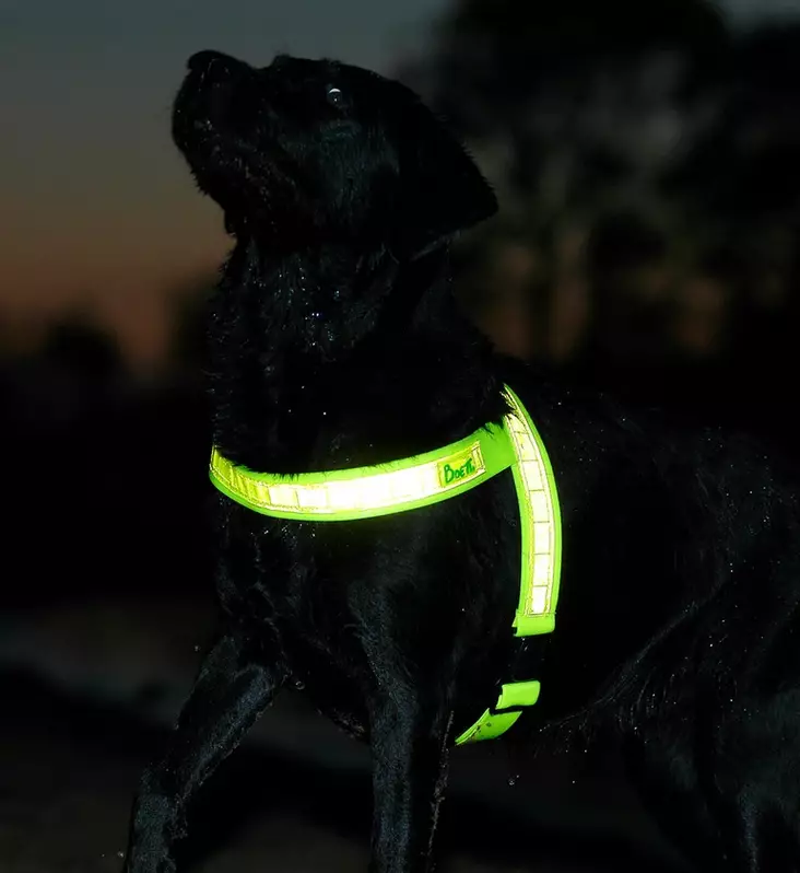 Heijastinvaljaat 1-4, pienet koot, 3cm leveällä nauhalla Boett Ab - Boett heijastinvaljaat - 214111111-1 - 1