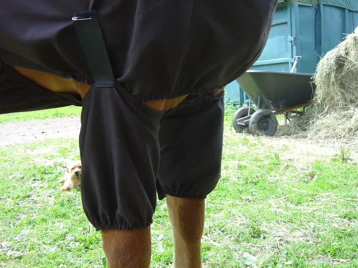 Ihottumaloimeen sopivat suojat etujalkoihin Boett Ab. - Boett ihottumaloimien lisä- ja varaosat - 126112-1 - 1