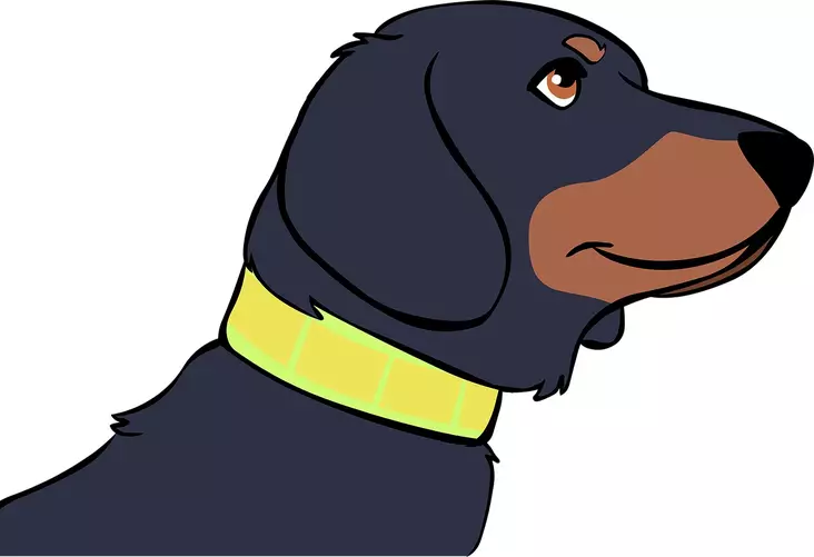 Kaulapanta koot 1-4 (25cm-40cm), 3cm leveällä nauhalla Boett Ab - Boett heijastinpannat - 214101111-1 - 1