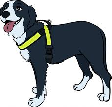 Talutinvaljas koot 1-8, 4cm leveällä nauhalla Boett Ab - Boett heijastinvaljaat - 214114115-1 - 1