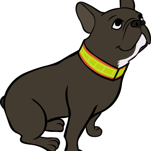 Tarrakaulapanta koot S-M, 4cm leveällä nauhalla Boett Ab - Boett heijastinpannat - 214104111-1 - 1