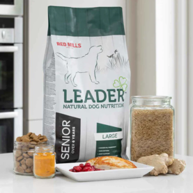 Senior Large Breed Leader - Koiran kuivaruuat - 5390119011352 - 2