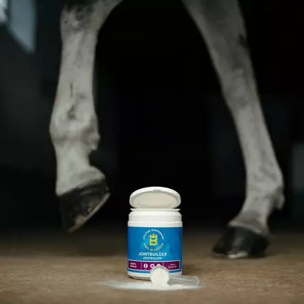 Jointbuilder 450g Eclipse Biofarmab - Erikoisruokavaliot nivelet ja luusto - 7330824005282 - 3