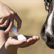 BioSun SPF 50 aurinkosuojavaahto Eclipse Biofarmab - Kesäihottuma, kutina ja karkotteet - 7320276047572 - 5