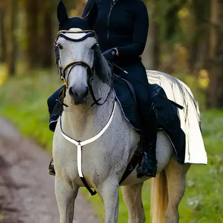 Rintaremmi heijastava hopea Hansbo Sport - Hevosen heijastimet - 7320276031113 - 2