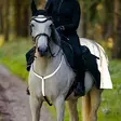 Rintaremmi heijastava hopea Hansbo Sport - Hevosen heijastimet - 7320276031113 - 2