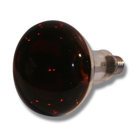 Lämpölamppu 150W Eider - Lämpövalaisimet ja lamput - 4038704114033 - 1