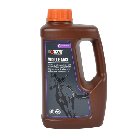 Muscle Max Foran Eguine - Stressireaktiot, lihakset, palautuminen - 5390998016981 - 1