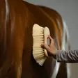 Midharja Mex luonnonharjaksilla Borstiq Farm - Hevosen harjat, suat ja letitys - 7330824007064 - 3