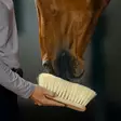 Midharja Mex luonnonharjaksilla Borstiq Farm - Hevosen harjat, suat ja letitys - 7330824007064 - 4