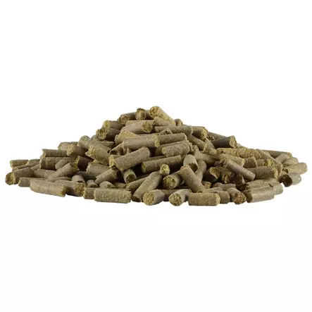 Broncophyt 500G Equi - Top - Erikoisruokavaliot mm. hengitys, rauta - 3760335900075 - 2