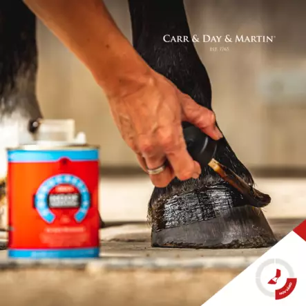 Cornucrescine Daily Hoof Dressing 500ML Carr & Day & Martin - Hevosen kavionhoito - 5021544001266 - 2