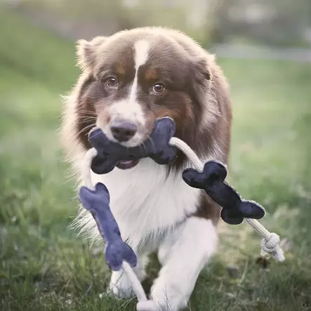 Koiranlelu Luu - kuviolla Hansbo Sport - Koiran lelut - 7320276032806 - 2