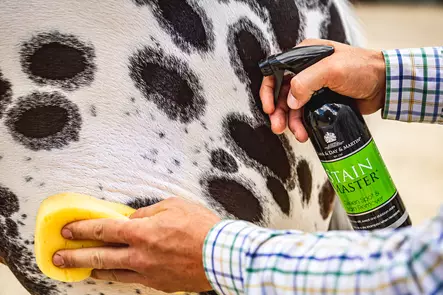 Stain Master tahranpoistaja suihke 500ML Carr & Day & Martin - Hevosen pesu ja puhdistus - 5021544201246 - 2