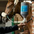 Arnika geeli 2,7L Eclipse Biofarmab - Hevosen lihasten ja jalkojenhoito - 7330824006456 - 4