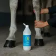 Ice Gel Eclipse Biofarmab - Hevosen lihasten ja jalkojenhoito - 7330824011696 - 3