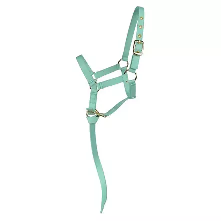 Varsariimu Basic minttu Hansbo Sport - Hevosen riimut, kaulapannat ja narut - 7320276039157 - 1