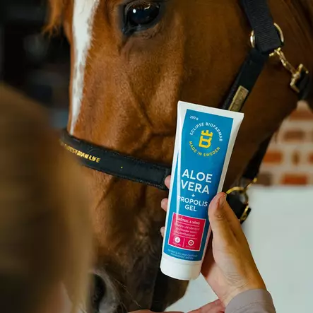 Aloe Vera + Propolis geeli 250g Eclipse Biofarmab - Hevosen ensiapu ja ihonhoito - 7330824005237 - 2