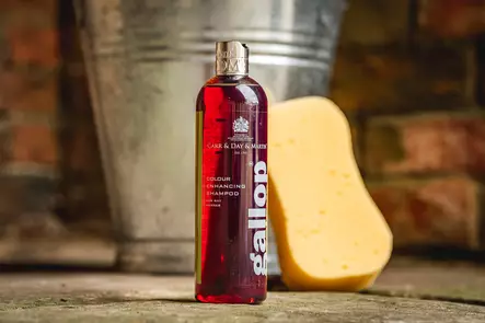 Gallop Colour Enhancing värishampoot 500ml Carr & Day & Martin - Hevosen pesu ja puhdistus - 5021544000627 - 2