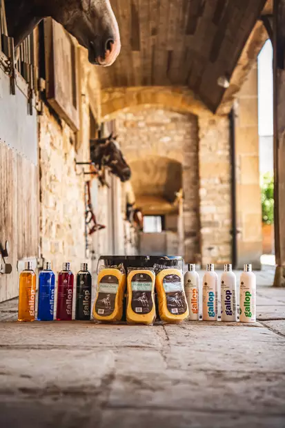 Horse Care Sponge Carr & Day & Martin - Hevosen pesu ja puhdistus - 5021544001037 - 2