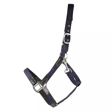 Nylonriimu Edit nahkaisilla yksityiskohdilla musta Hansbo Sport - Hevosen riimut, kaulapannat ja narut - 7320276038587 - 1