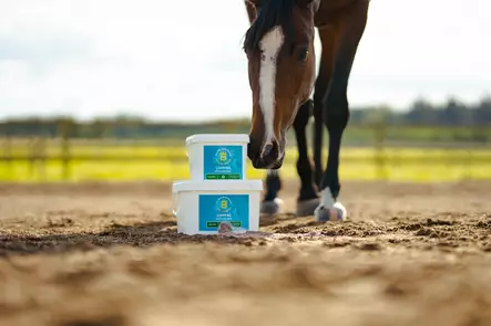 Psyllium siemenvalmiste Eclipse Biofarmab - Erikoisruokavaliot ruuansulatuskanavalle - 7330824005497 - 2