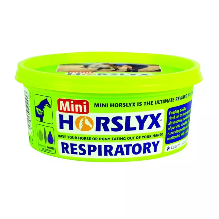 Nuolu-/koulutuskivi Mini Respiratory 650g Horslyx - Hevosen nuolu- ja koulutuskivet - 5060050110437 - 1