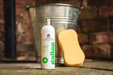 Gallop Medicated Shampoo 500ML Carr & Day & Martin - Hevosen pesu ja puhdistus - 5021544001808 - 2