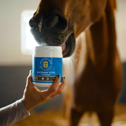 B-Vitamiini Total Eclipse Biofarmab - Vitamiini ja hivenainetäydennysrehut - 7330824005329 - 2