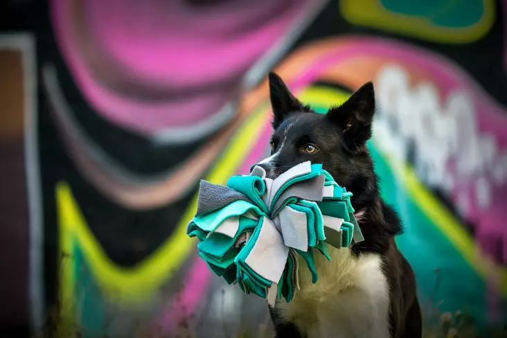 Sniffing Ball L 26cm KABOO - Koiran aktivointilelut - KABOOballL - 1