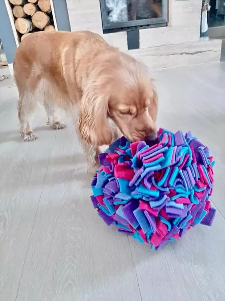 Sniffing Cube M 23cm KABOO - Koiran aktivointilelut - KABOOCubeM - 1