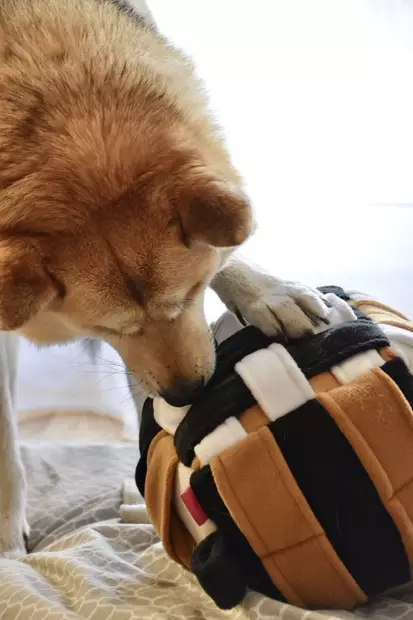 Sniffing Cube Pockets M 25cm KABOO - Koiran aktivointilelut - KABOOPocketCubeM - 1