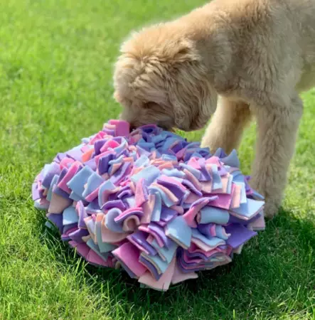 Sniffing Mat M 17x27x27cm KABOO - Koiran aktivointilelut - KABOOmatM - 1