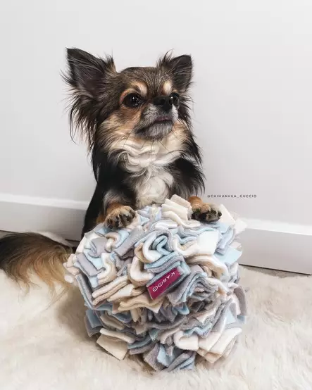 Sniffing Cube XS 15cm KABOO - Koiran aktivointilelut - KABOOCubeXS - 3