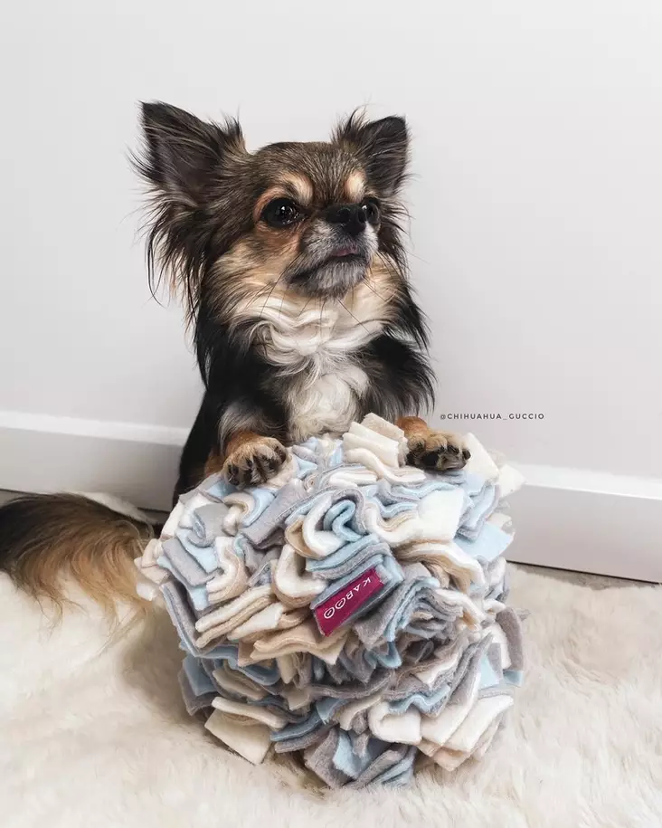 Sniffing Cube XS 15cm KABOO - Koiran aktivointilelut - KABOOCubeXS - 3